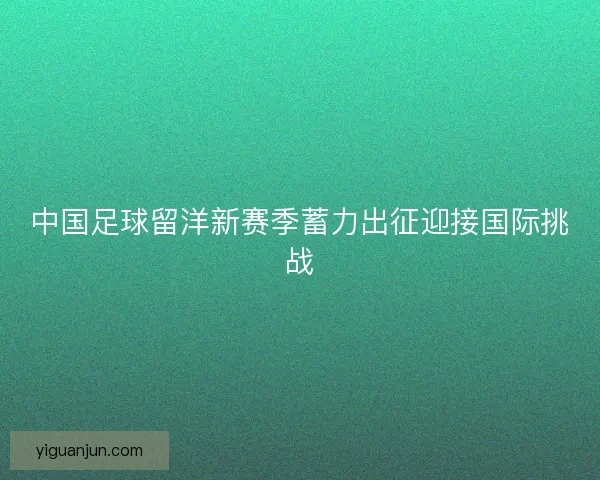中国足球留洋新赛季蓄力出征迎接国际挑战